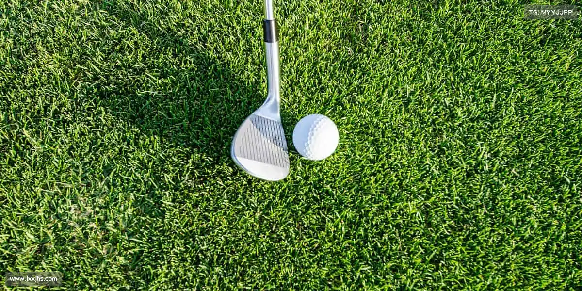 我们的品牌价值